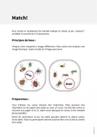 Aperçu - Jeux - Insects / Insectes: Match! (Jeu pour le cours d'anglais) - Page 1