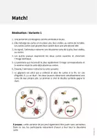 Aperçu - Jeux - Insects / Insectes: Match! (Jeu pour le cours d'anglais) - Page 2