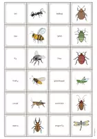 Aperçu - Jeux - Insects / Insectes: Memo Game (Jeu pour le cours d'anglais) - Page 2