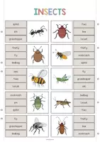 Aperçu - Cartes / Images - Insects / Insectes: Clip Cards (Cartes à pince pour le cours d'anglais) - Page 2
