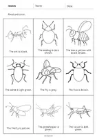 Aperçu - Cartes d'exercices - Insects / Insectes: Read and Color 2 (Fiche d'exercices d'anglais) - Page 2