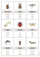 Aperçu - Jeux - Insects / Insectes: Don’t say it! (Jeu pour le cours d'anglais) - Page 3