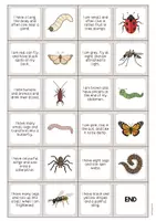 Aperçu - Jeux - Insects / Insectes: Reading Domino (Jeu pour le cours d'anglais) - Page 3