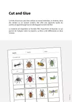 Aperçu - Matériel pour travaux manuels / dessin - Insects / Insectes: Cut and Glue (Fiche d'exercices d'anglais) - Page 1