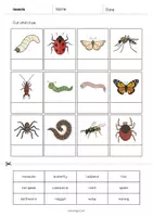Aperçu - Matériel pour travaux manuels / dessin - Insects / Insectes: Cut and Glue (Fiche d'exercices d'anglais) - Page 3