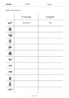 Aperçu - Fiches - Insects / Insectes: Vocabulary Worksheet 3 (Fiche d'exercices d'anglais) - Page 2