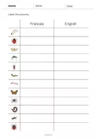 Aperçu - Fiches - Insects / Insectes: Vocabulary Worksheet 3 (Fiche d'exercices d'anglais) - Page 3