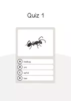Aperçu - Jeux - Insects / Insectes: Vocabulary Quiz (Jeu de questions pour le cours d'anglais) - Page 3