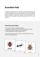 Aperçu - Fiches - Insects / Insectes: Accordion Fold (Jeu pour le cours d'anglais) - Page 1