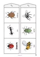 Aperçu - Fiches - Insects / Insectes: Accordion Fold (Jeu pour le cours d'anglais) - Page 3