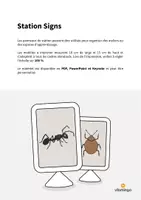Aperçu - Affichage - Insects / Insectes: Station Signs (Cartes de travail en atelier) - Page 1