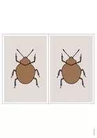 Aperçu - Affichage - Insects / Insectes: Station Signs (Cartes de travail en atelier) - Page 3