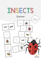Aperçu - Jeux - Insects / Insectes: Domino (Jeu pour le cours d'anglais) - Page de couverture