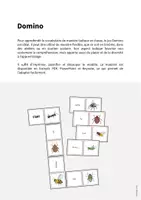 Aperçu - Jeux - Insects / Insectes: Domino (Jeu pour le cours d'anglais) - Page 1