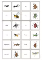 Aperçu - Jeux - Insects / Insectes: Domino (Jeu pour le cours d'anglais) - Page 2