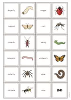 Aperçu - Jeux - Insects / Insectes: Domino (Jeu pour le cours d'anglais) - Page 3