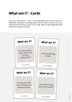 Aperçu - Jeux - Insects / Insectes: What am I? - Cards (Jeu pour le cours d'anglais) - Page 1