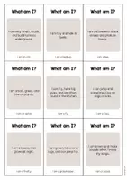 Aperçu - Jeux - Insects / Insectes: What am I? - Cards (Jeu pour le cours d'anglais) - Page 2
