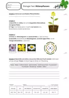 Vorschau - Fördermaterial/Inklusion - Biologie Test Klasse 6/7 Blütenpflanzen + Zieldifferenziert - Deckblatt