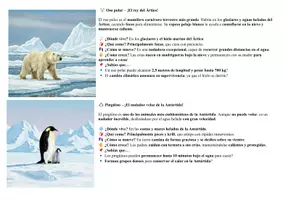 Vista previa - Manualidades / Dibujos para colorear - Animales del hielo - Polos y tundra - página 3