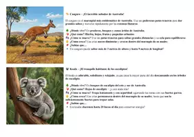 Vista previa - Manualidades / Dibujos para colorear - Animales de Oceanía Aprende y colorea - página 3