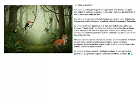 Vista previa - Manualidades / Dibujos para colorear - Animales de la selva - Aprendo y coloreo - página 2