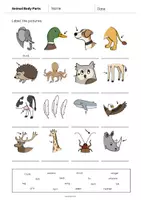 Aperçu - Fiches - Animal Body Parts / Parties du corps des animaux: Vocabulary Worksheet 1 (Fiche d'exercices d'anglais) - Page 3