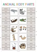 Aperçu - Cartes / Images - Animal Body Parts / Parties du corps des animaux: Clip Cards (Cartes à pince pour le cours d'anglais) - Page 3