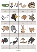 Aperçu - Jeux - Animal Body Parts / Parties du corps des animaux: Drawing Game (Jeu pour le cours d'anglais) - Page 3