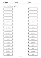Aperçu - Cartes d'exercices - In the Sea / Dans la mer: Draw the lines 3 (Fiche d'exercices d'anglais) - Page 3