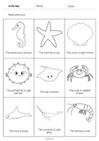 Aperçu - Cartes d'exercices - In the Sea / Dans la mer: Read and Color 2 (Fiche d'exercices d'anglais) - Page 3