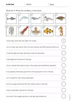 Aperçu - Cartes d'exercices - In the Sea / Dans la mer: What am I? - Worksheet (Fiche d'exercices d'anglais) - Page 2