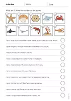 Aperçu - Cartes d'exercices - In the Sea / Dans la mer: What am I? - Worksheet (Fiche d'exercices d'anglais) - Page 3
