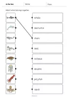 Aperçu - Cartes d'exercices - In the Sea / Dans la mer: Draw the lines 2 (Fiche d'exercices d'anglais) - Page 2