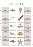 Aperçu - Cartes / Images - In the Sea / Dans la mer: Clip Cards (Cartes à pince pour le cours d'anglais) - Page 2