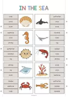 Aperçu - Cartes / Images - In the Sea / Dans la mer: Clip Cards (Cartes à pince pour le cours d'anglais) - Page 3