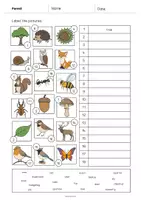 Aperçu - Fiches - Forest / Forêt: Vocabulary Worksheet 2 (Fiche d'exercices d'anglais) - Page 3