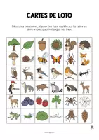 Aperçu - Jeux - Forest / Forêt: Education Lotto (Jeu pour le cours d'anglais) - Page 2