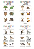 Aperçu - Jeux - Forest / Forêt: Education Lotto (Jeu pour le cours d'anglais) - Page 3