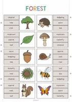 Aperçu - Cartes / Images - Forest / Forêt: Clip Cards (Cartes à pince pour le cours d'anglais) - Page 2