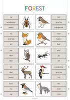 Aperçu - Cartes / Images - Forest / Forêt: Clip Cards (Cartes à pince pour le cours d'anglais) - Page 3