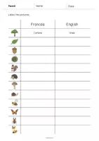 Aperçu - Fiches - Forest / Forêt: Vocabulary Worksheet 3 (Fiche d'exercices d'anglais) - Page 2