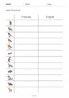 Aperçu - Fiches - Forest / Forêt: Vocabulary Worksheet 3 (Fiche d'exercices d'anglais) - Page 3