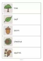 Aperçu - Jeux - Forest / Forêt: Running Dictation (Dictée en mouvement pour le cours d'anglais) - Page 2