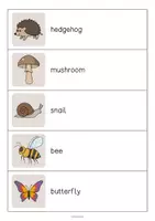 Aperçu - Jeux - Forest / Forêt: Running Dictation (Dictée en mouvement pour le cours d'anglais) - Page 3