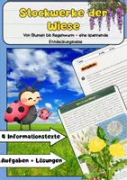 Vorschau - Arbeitsblätter - Stockwerke der Wiese: Lebensraum der Pflanzen und Tiere - Deckblatt