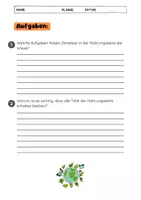 Vorschau - Arbeitsblätter - Nahrungskette im Lebensraum Wiese - Seite 3