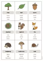 Aperçu - Jeux - Forest / Forêt: Don’t say it! (Jeu pour le cours d'anglais) - Page 2