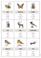 Aperçu - Jeux - Forest / Forêt: Don’t say it! (Jeu pour le cours d'anglais) - Page 3