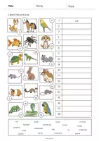 Aperçu - Fiches - Pets / Animaux de compagnie: Vocabulary Worksheet 2 (Fiche d'exercices d'anglais) - Page 3